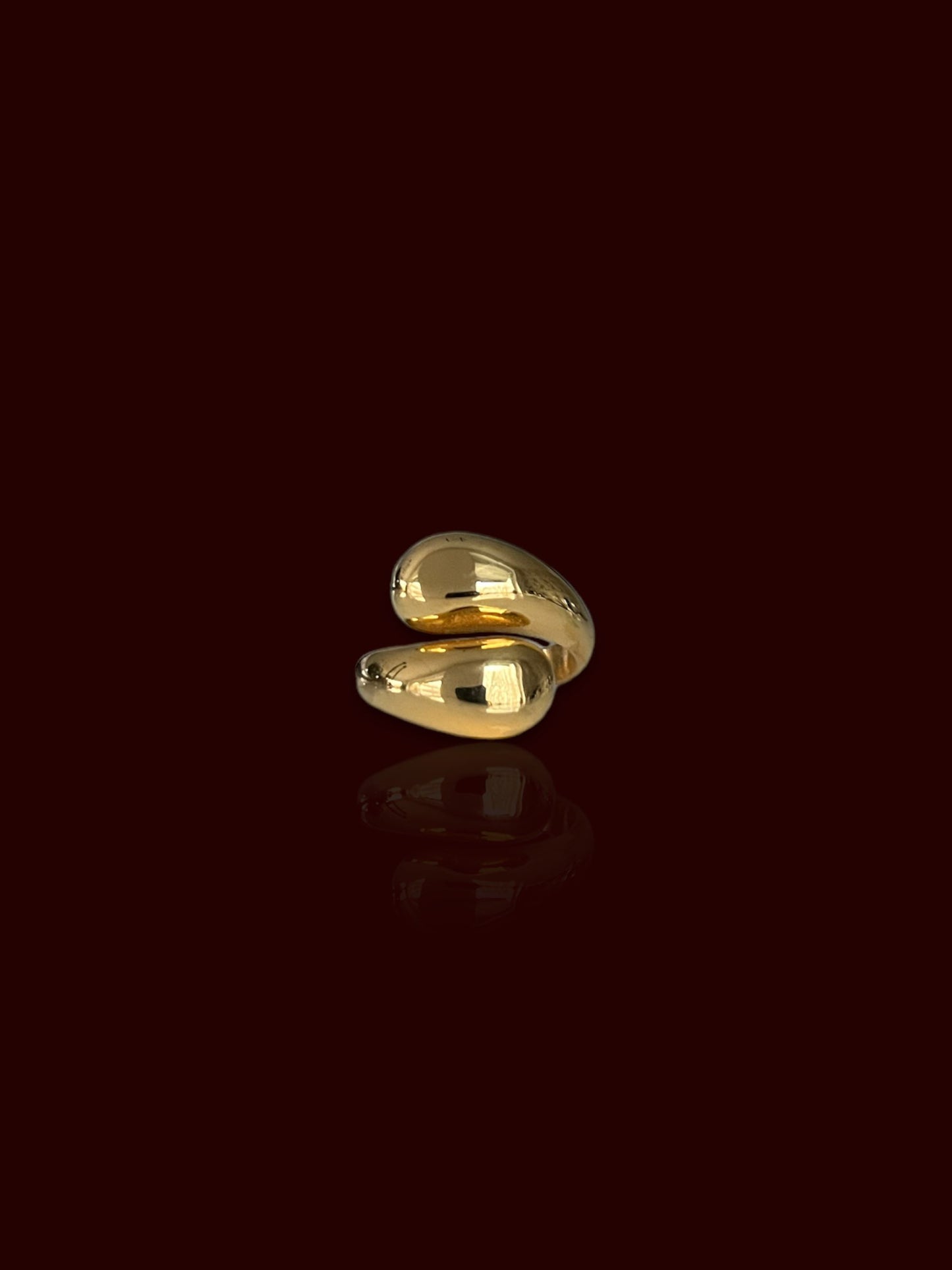 POLISHED RING